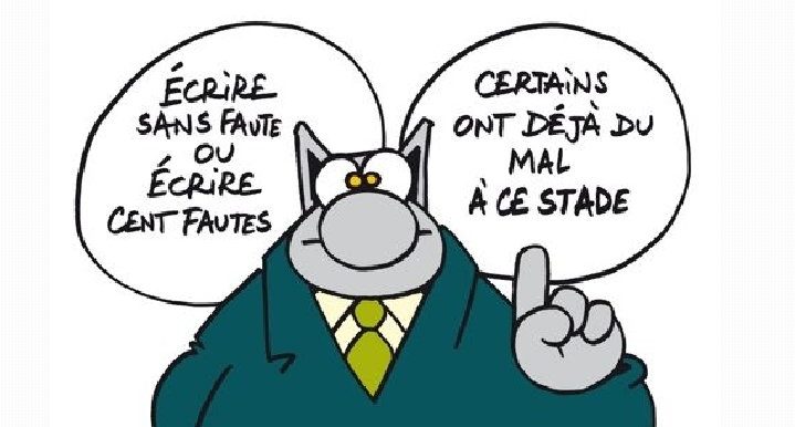 LES PLURIELS DU CHAT